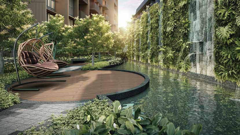 Pond and vertical garden